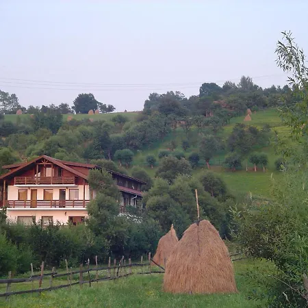 Pensiunea Cehov 3*