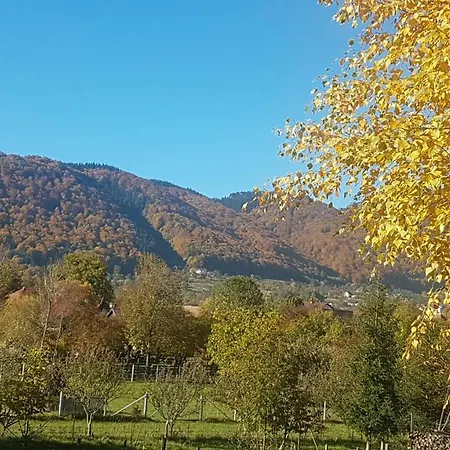Pensión Pensiunea Cehov Bran (Brasov)